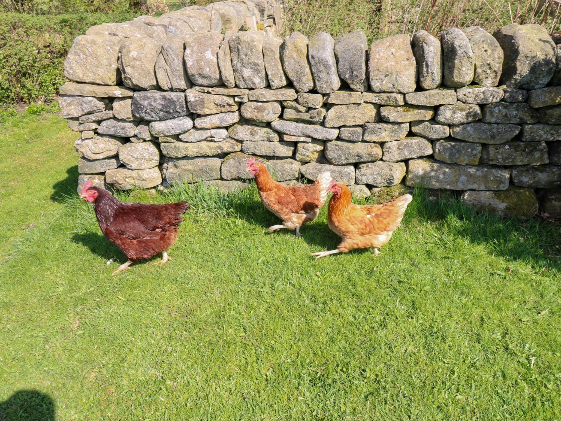 The Barn At Heath Hall Farm Sowerby Bridge Εξωτερικό φωτογραφία